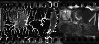 Partial portrait of a woman