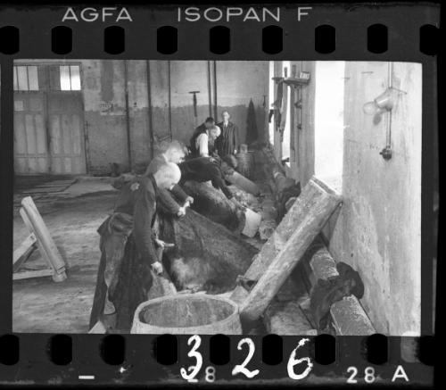 Workers in the leather factory