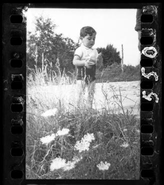 Young boy in a field