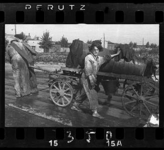 The removal of feces in the ghetto by men and women workers