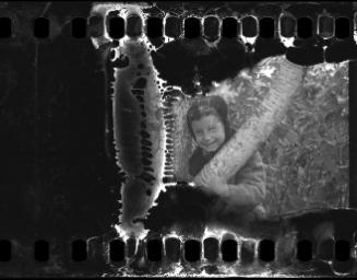 Portrait of a young boy