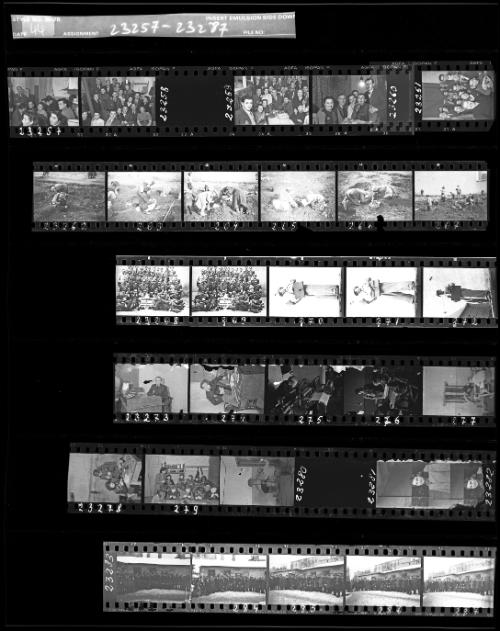 Negative Sheet #44 from Lodz Ghetto Collection