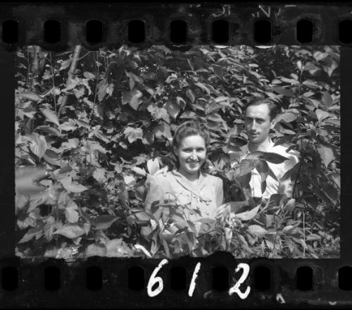 Couple among greenery