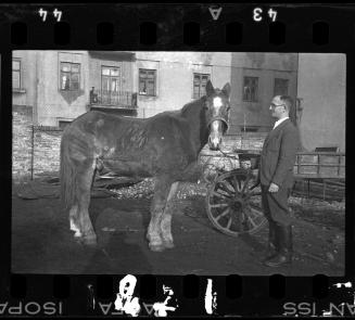 Dr. Kagan, administrator of the hospital, and a horse