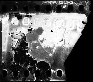 Woman picking flowers