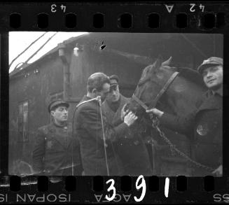 Transport Department workers with a horse in the ghetto