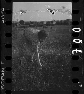 Young woman kneeling down