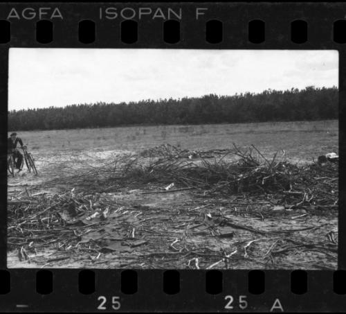 Field in the ghetto after liberation