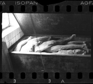Corpses and body parts in the morgue