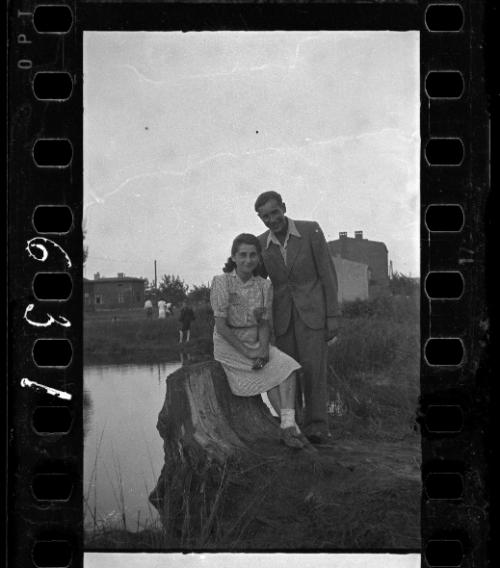 A couple on a tree stump