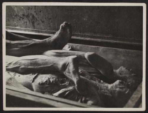 Corpses and body parts in the morgue