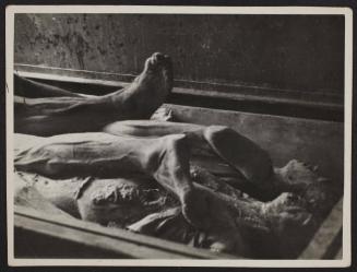 Corpses and body parts in the morgue