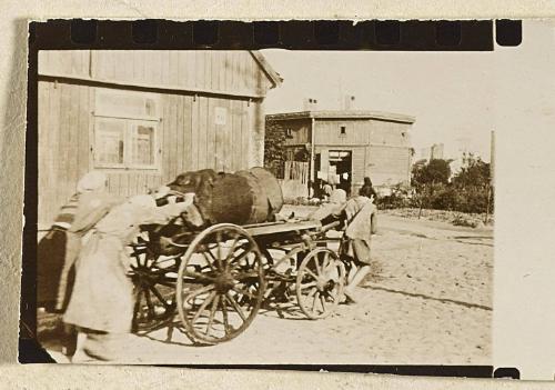 Contact Print #336 from page #17 in Lodz Ghetto Contact Album
