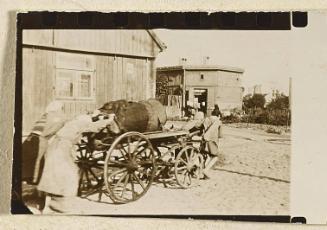 Contact Print #336 from page #17 in Lodz Ghetto Contact Album