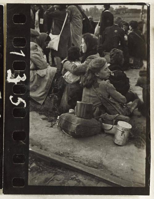 Contact Print #135 from Page #3 from Lodz Ghetto Album