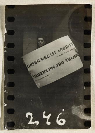 Contact Print #246 from Page #7 from Lodz Ghetto Album