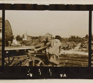 Contact Print #344 from page #10 in Lodz Ghetto Contact Album