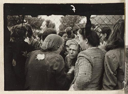 Contact Print #7 from page #1 in Lodz Ghetto Contact Album