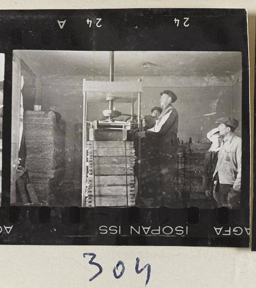 Contact Print #304 from page #9 in Lodz Ghetto Contact Album