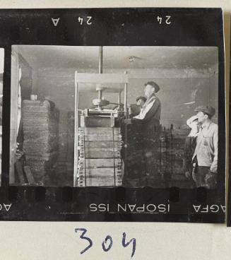 Contact Print #304 from page #9 in Lodz Ghetto Contact Album