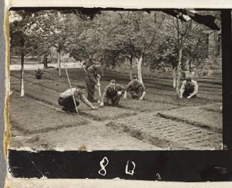 Contact Print #80 from Page #2 from Lodz Ghetto Album