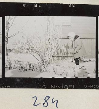 Contact Print #284 from Page #8 from Lodz Ghetto Album