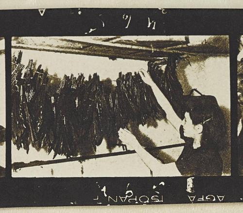 Contact Print #465 from page #16 in Lodz Ghetto Contact Album