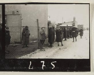 Contact Print #275 from Page #8 from Lodz Ghetto Album