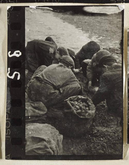Contact Print #95 from Page #3 from Lodz Ghetto Album