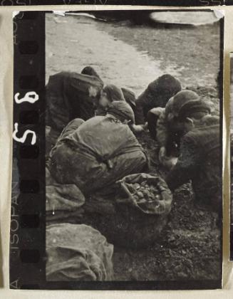 Contact Print #95 from Page #3 from Lodz Ghetto Album