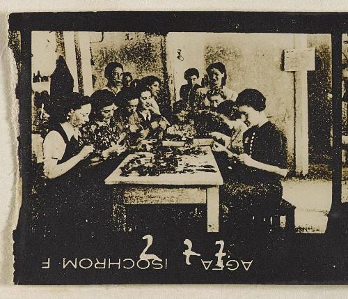 Contact Print #277 from Page #8 from Lodz Ghetto Album