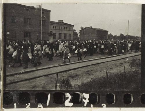Contact Print #127 from Page #3 from Lodz Ghetto Album