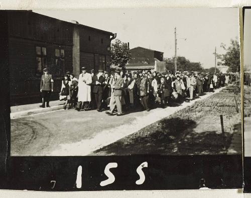Contact Print #155 from Page #3 from Lodz Ghetto Album