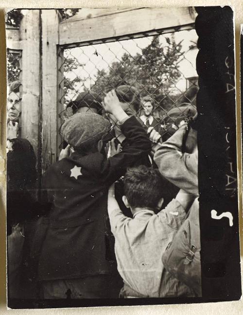 Contact Print #5 from page #1 in Lodz Ghetto Contact Album