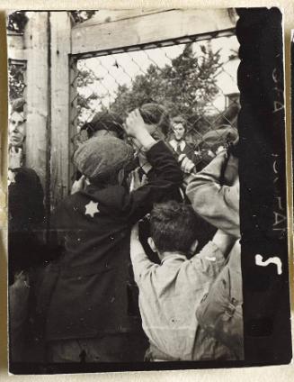 Contact Print #5 from page #1 in Lodz Ghetto Contact Album