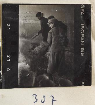 Contact Print #307 from page #9 in Lodz Ghetto Contact Album