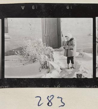 Contact Print #283 from Page #8 from Lodz Ghetto Album