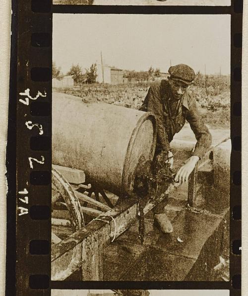 Contact Print #352 from page #10 in Lodz Ghetto Contact Album