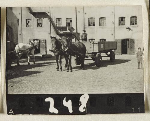 Contact Print #248 from Page #7 from Lodz Ghetto Album