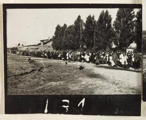 Contact Print #171 from Page #5 from Lodz Ghetto Album