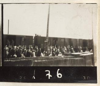 Contact Print #176 from Page #5 from Lodz Ghetto Album