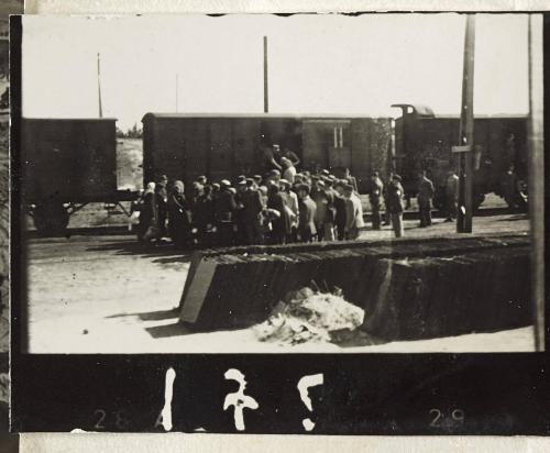 Contact Print #175 from Page #5 from Lodz Ghetto Album