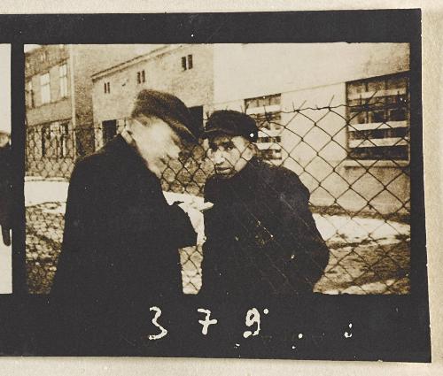 Contact Print #379 from page #11 in Lodz Ghetto Contact Album