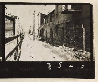 Contact Print #523 from page #12 in Lodz Ghetto Contact Album