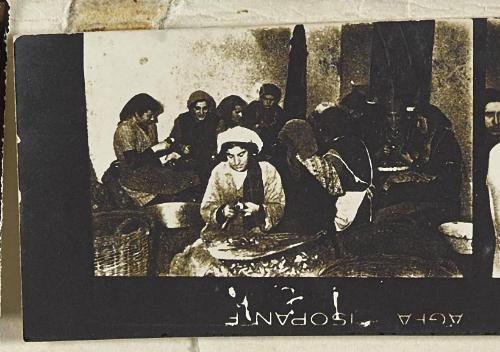 Contact Print #471 from page #17 in Lodz Ghetto Contact Album