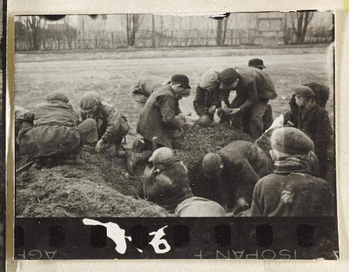 Contact Print #96 from Page #3 from Lodz Ghetto Album