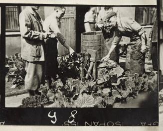 Contact Print #98 from Page #3 from Lodz Ghetto Album