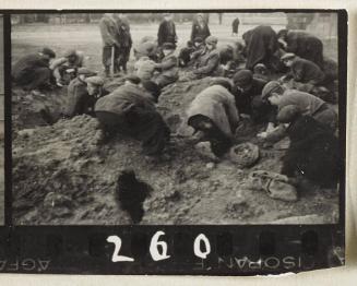 Contact Print #260 from Page #7 from Lodz Ghetto Album