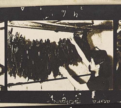 Contact Print #465 from page #16 in Lodz Ghetto Contact Album