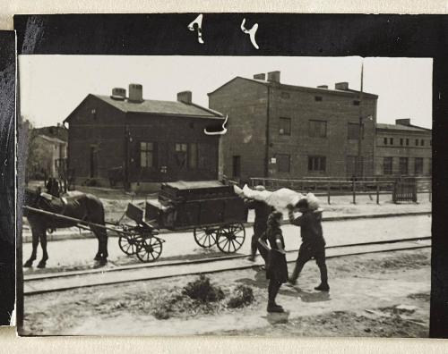 Contact Print #14 from page #1 in Lodz Ghetto Contact Album